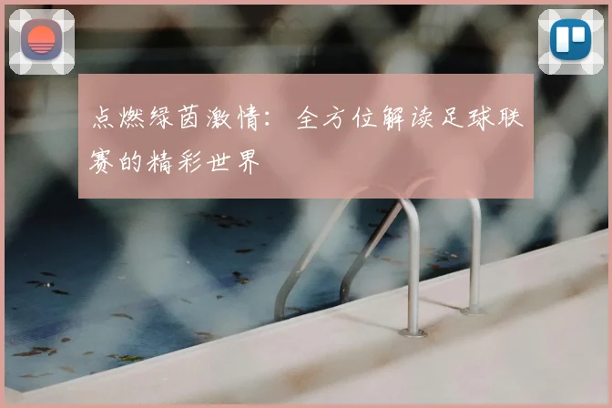 点燃绿茵激情：全方位解读足球联赛的精彩世界