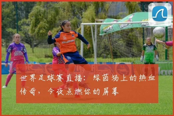 世界足球赛直播：绿茵场上的热血传奇，今夜点燃你的屏幕